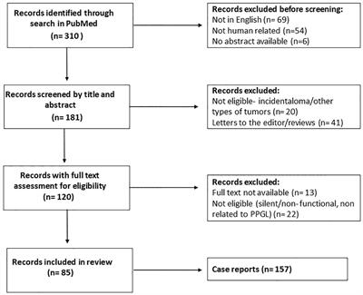 Silent pheochromocytoma and paraganglioma: Systematic review and proposed definitions for standardized terminology